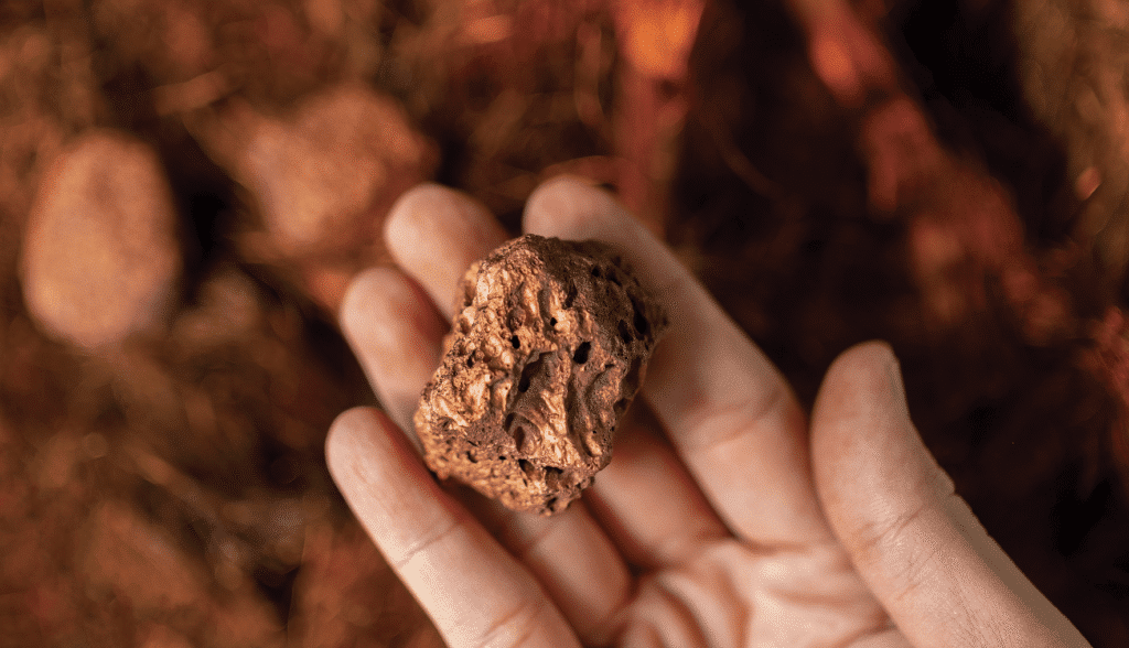 Rio appoints new copper leader